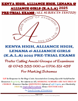 KALA JOINT PRE-TRIAL 2025 (12).pdf
